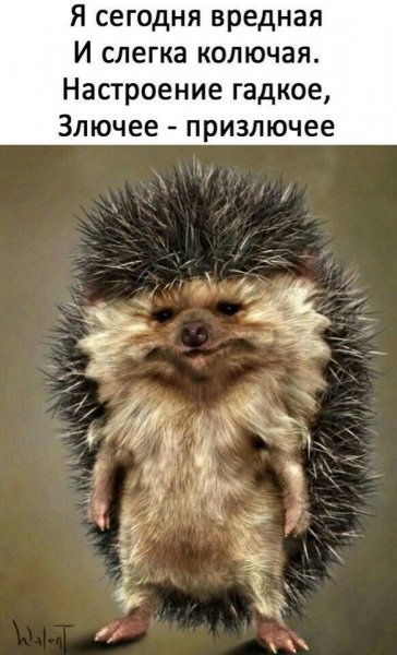 12be5b2h4882fc60dc20fc9f