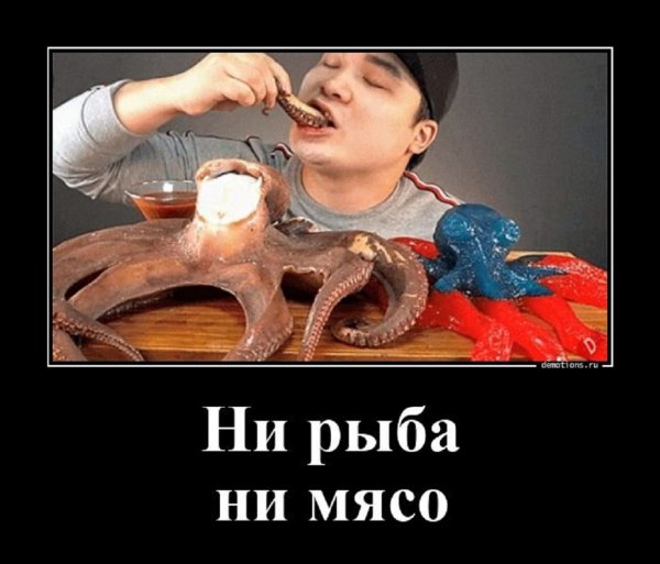 Ни рыба ни мясо