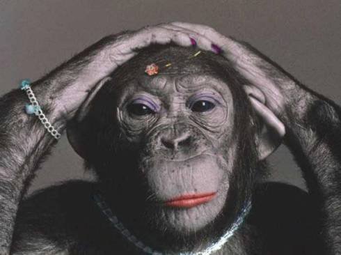 Обезьянки 1