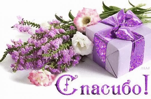IMG 20191203 233855
