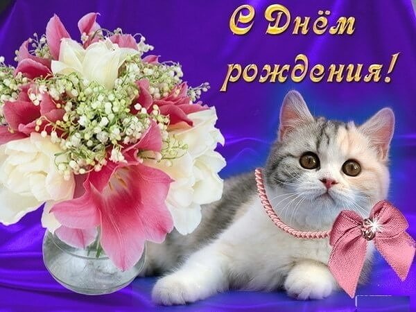 IMG 20181223 112759