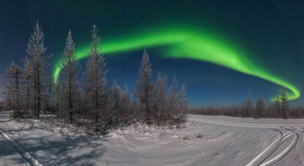 fcc3b3548a58372366254986a45.max-1200x800