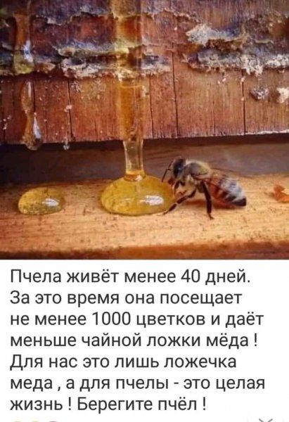 FB IMG 16272019127778802
