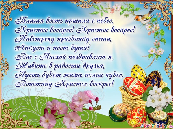 file_84185829
