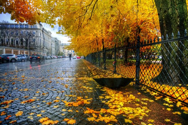 sankt-peterburg-ekaterininskii-park-osen-dozhd