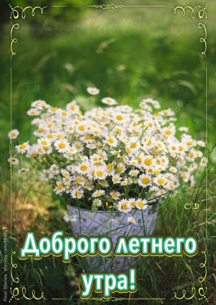 file_90685219