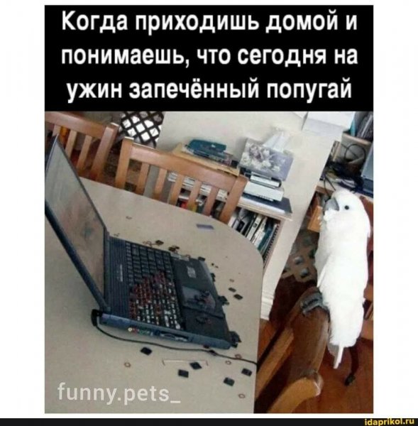 FB IMG 1778093153413