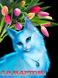 file_76497161