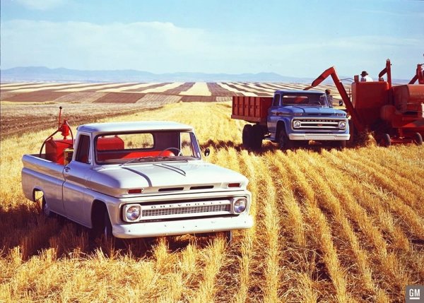 CHEVY C10 &amp; C50 -1966
