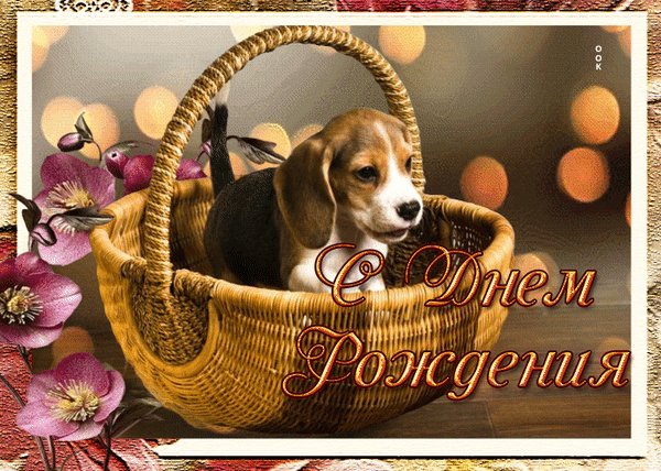 Анимированная открытка с днём рождения (14)