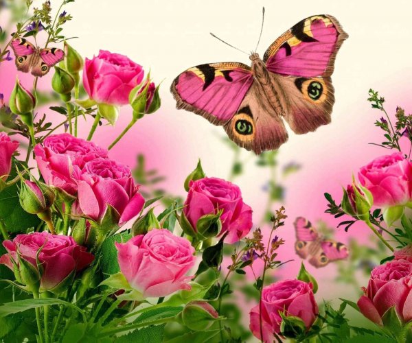 IMG-0dad36166c436ffadba83b20107d2442-V