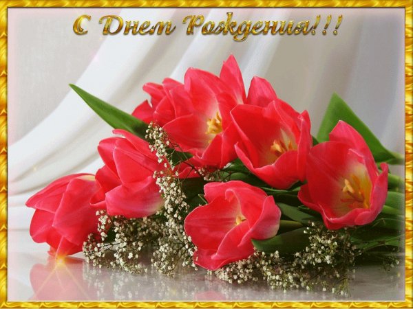 file_73556713