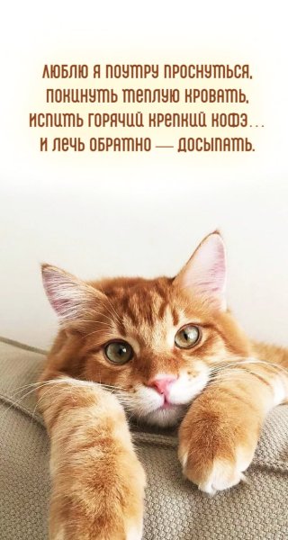 Юмор (175)
