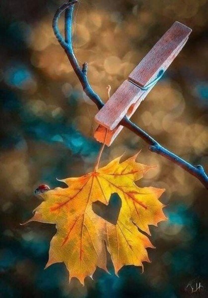 file_94791805