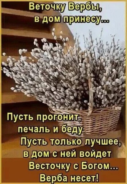 IMG-20240428-WA0000