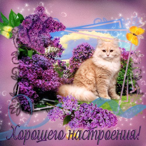 Хорошего настроения 6