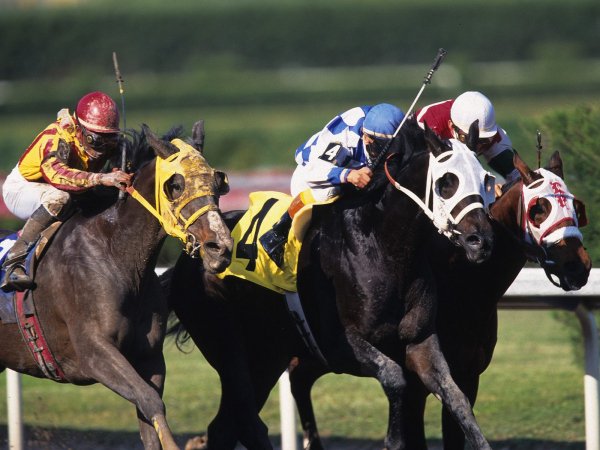 Making a Break Gulfstream Park Florida