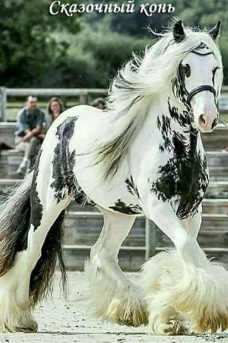 Сказочн.конь