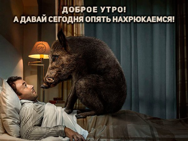 86fe10cba830c99e20bf93fb3e80c58f