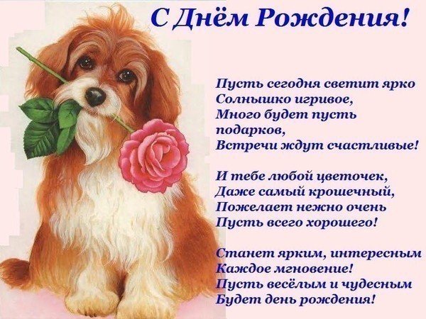 file_81279055