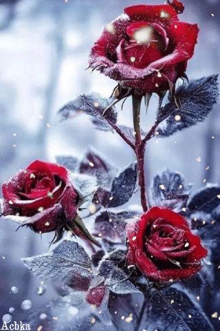 file_95901167