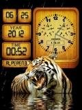 Tigr animated