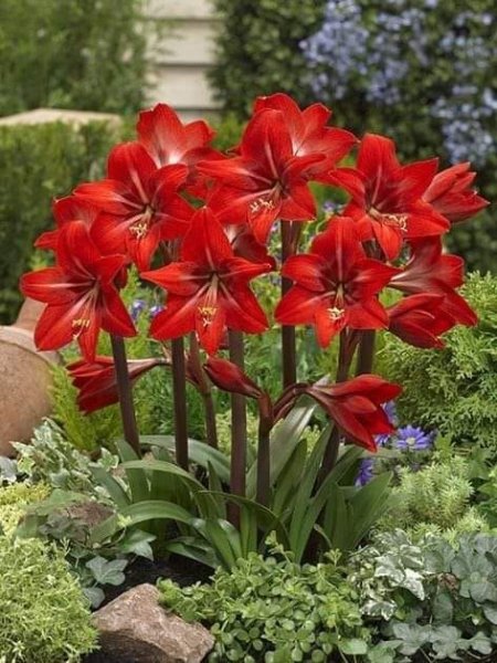 Ac93ddd2e75b01b76d597d26f1353575