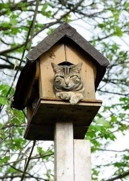 FB IMG 1774164803024