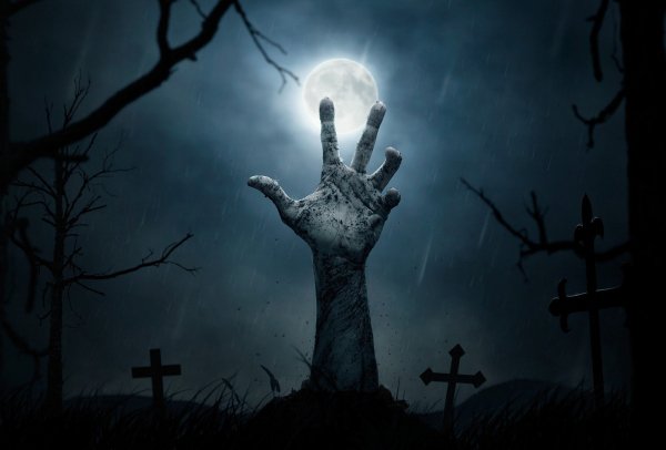 Undead wallpaper