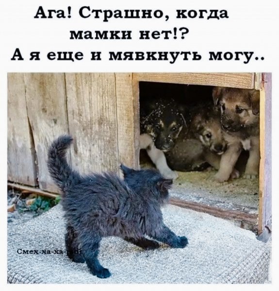 IMG 20231101 150836