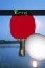 paddlebounce3d