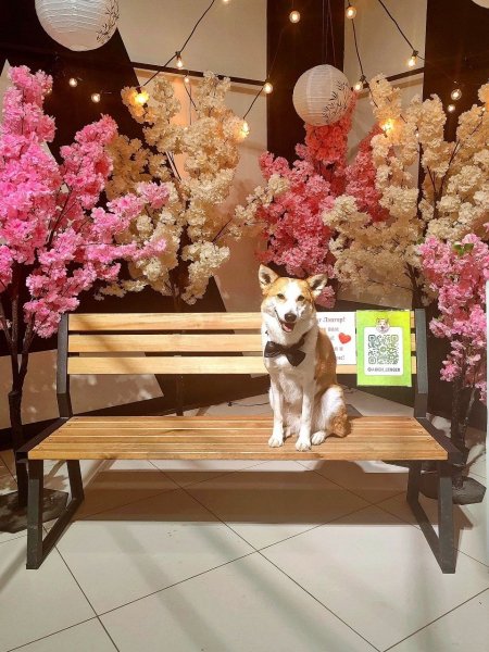 RDHHDGJHDVBGDCK47PL5