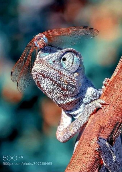 e66ff88483c98ee6f15fe6420b86