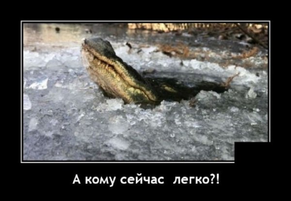 А кому сейчас легко