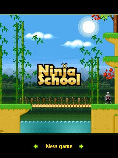 NinjaSchool