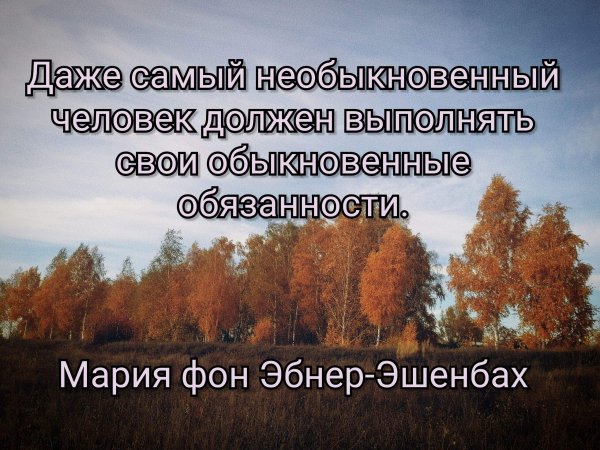 IMG 20240915 205853