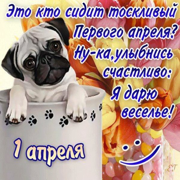 m4562o47ps.gif.pagespeed.ce.hikMxozsjn