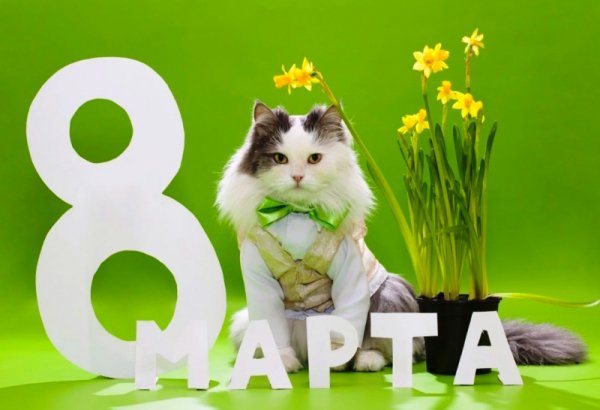 8 марта