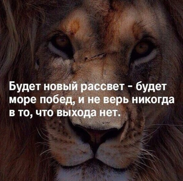 Будет новый рассвет...