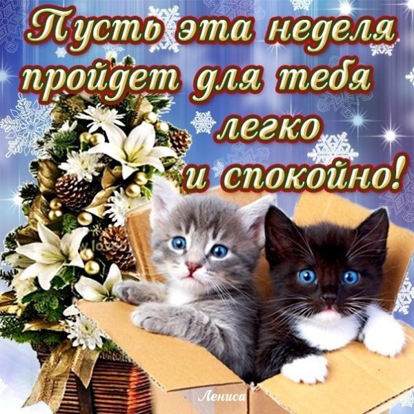 Nedelya