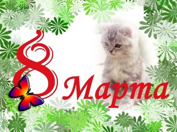 Прикольные СМС к 8 Марта