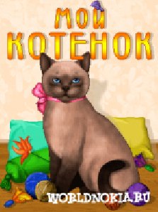 my cat-176x208