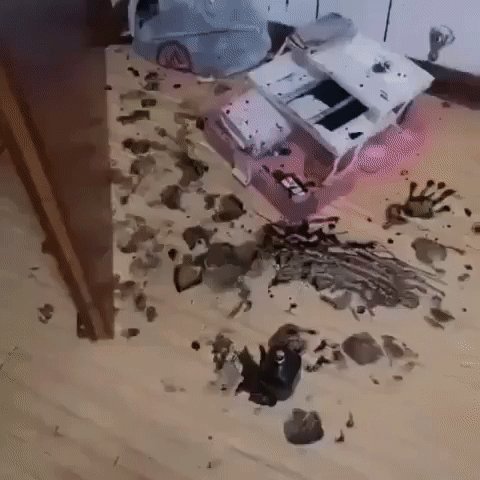 Просто заходил Сepёжка, ну и поиграли мы нeмножко..)