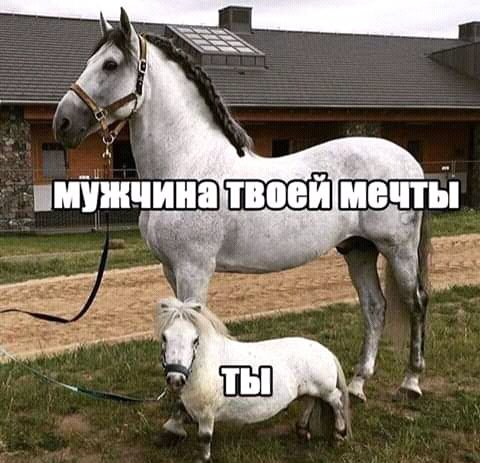 FB IMG 15394653429739574