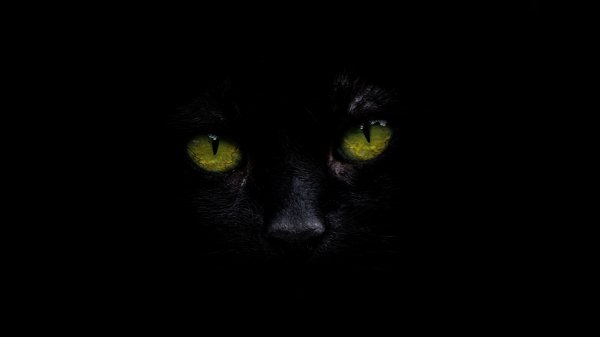 ComputerDesktopWallpapersCollection2086 022