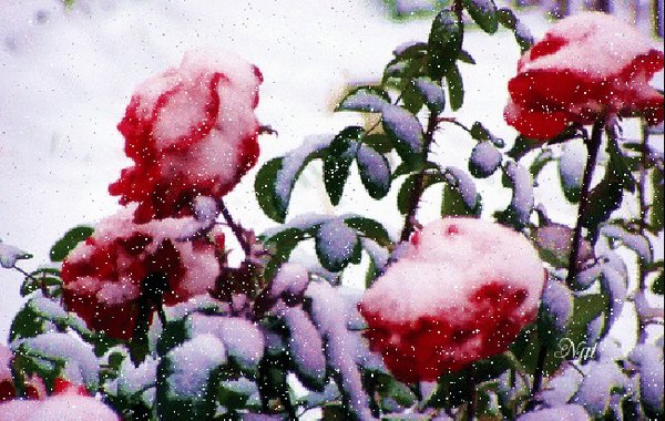 Природа спать ложится до апреля