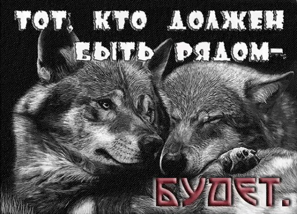 Настоящие чувства