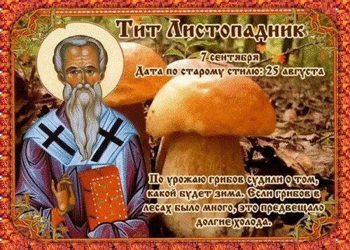 Анимированная открытка тит листопадник