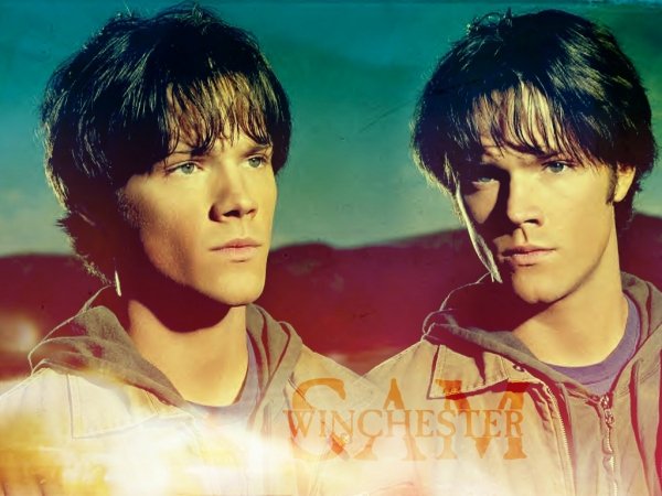 SPN-W