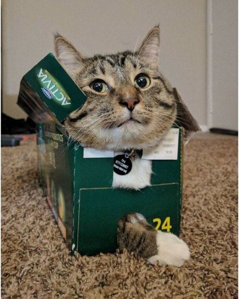 304187